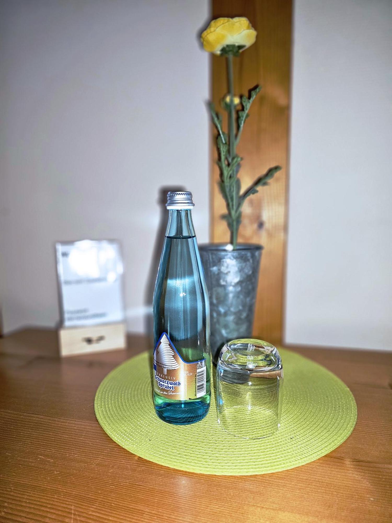 Landgasthaus Sternen Kehl Bagian luar foto